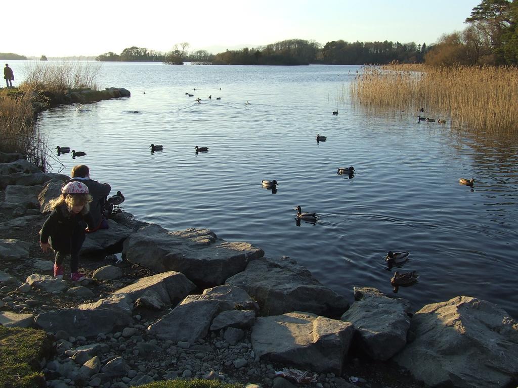 Rockfield House B&B Killarney Bagian luar foto