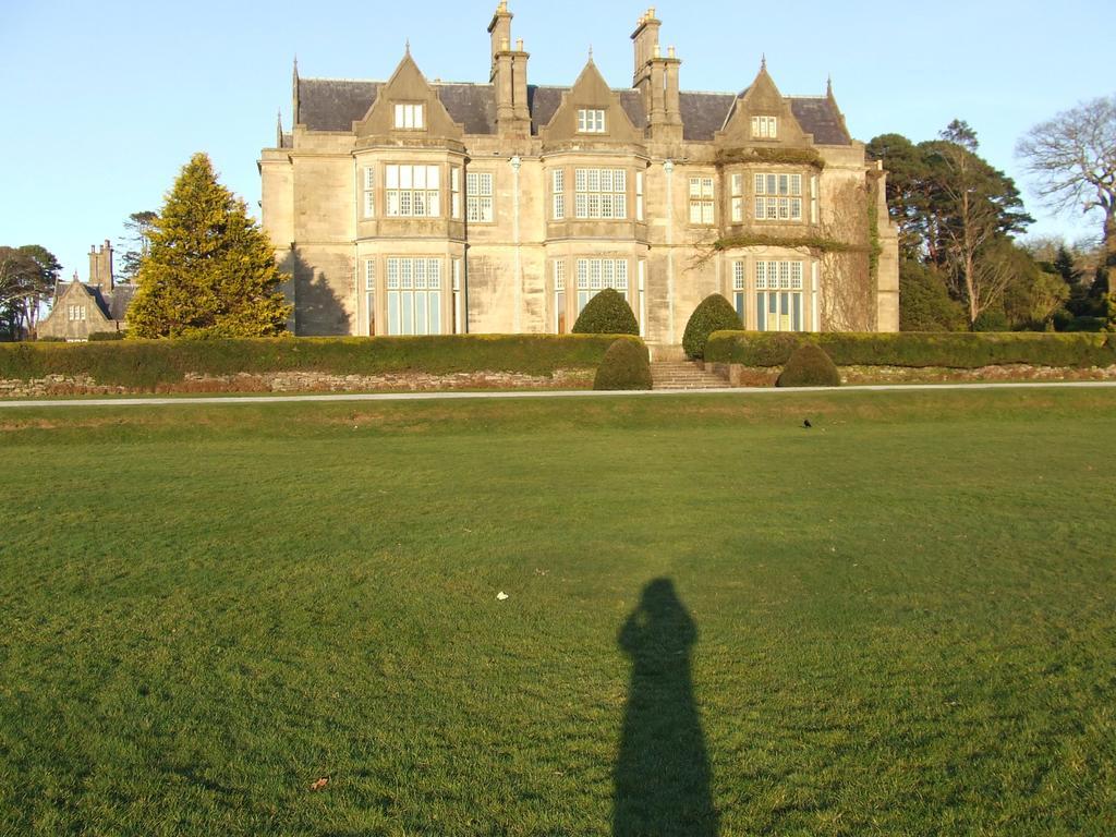 Rockfield House B&B Killarney Bagian luar foto