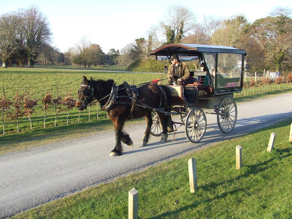 Rockfield House B&B Killarney Bagian luar foto